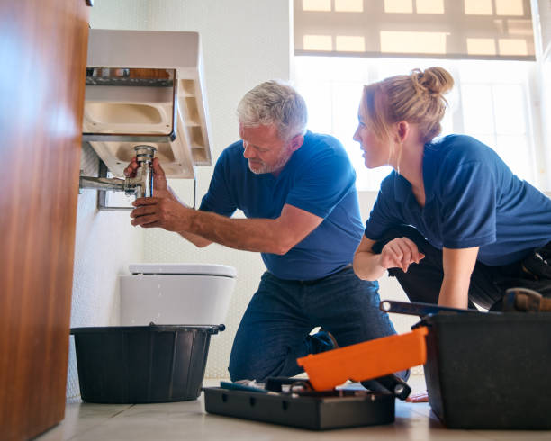 Best Affordable Plumber Near Me  in Kirkwood, MO